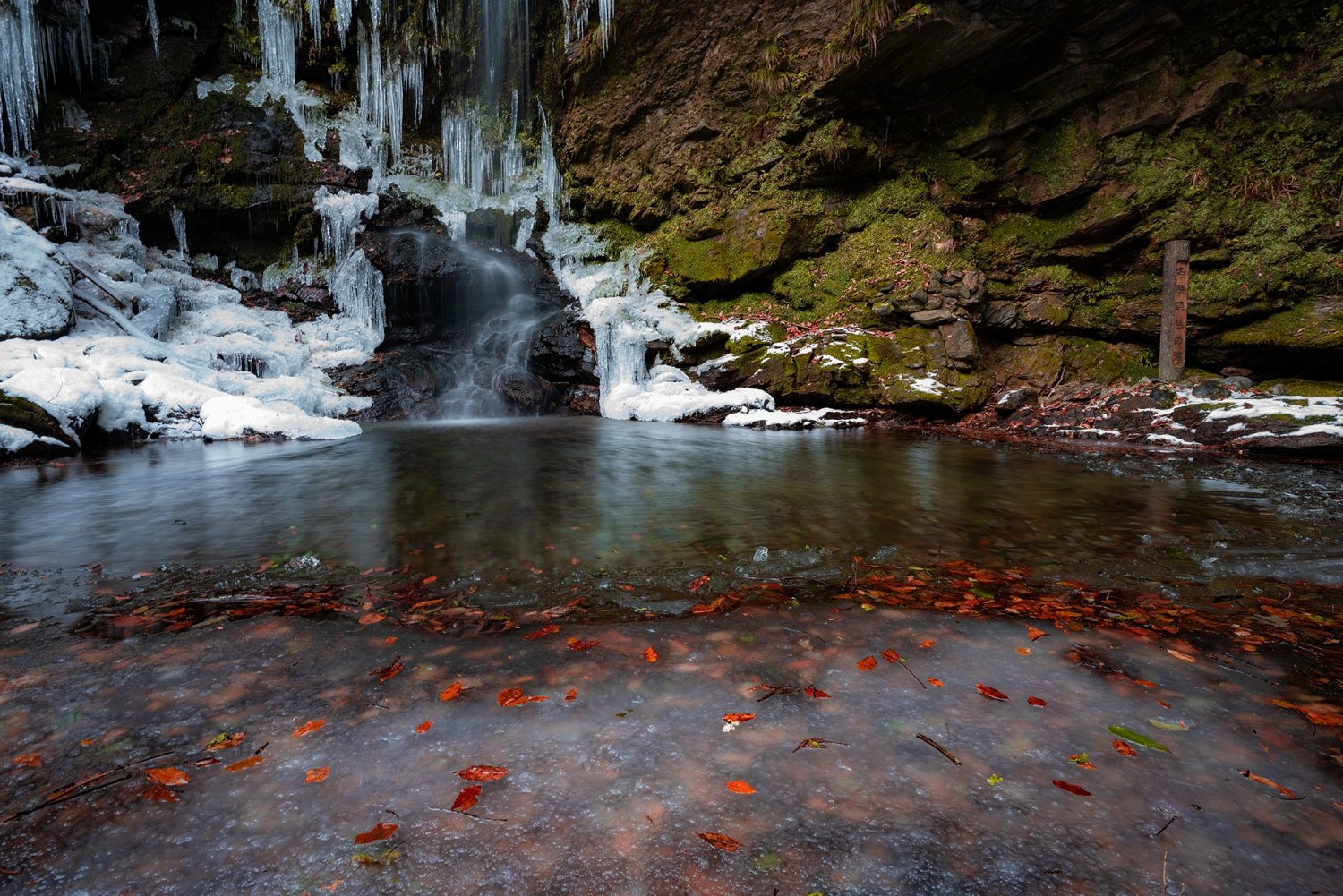 🌊 비와 폭포(비와노타키) 이미지 8